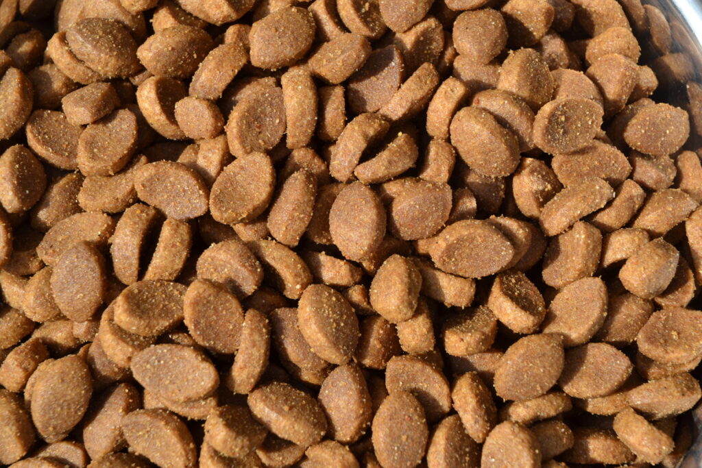 Croquettes adultes 30/20